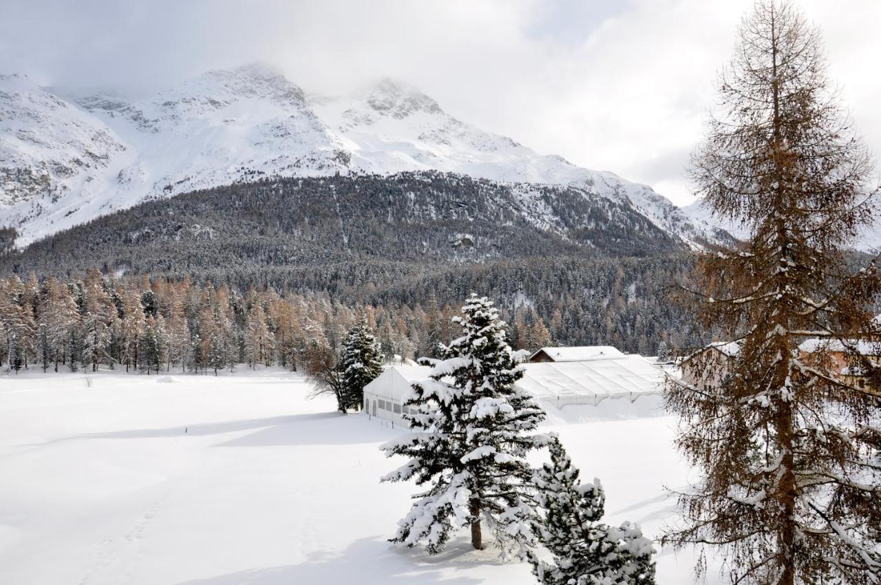 Cosy Apartment Facing Piz Rosatsch Saint-Moritz Dış mekan fotoğraf